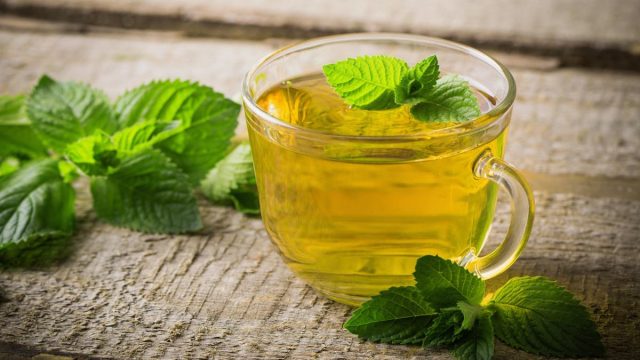 فوائد زيت النعناع للرئة