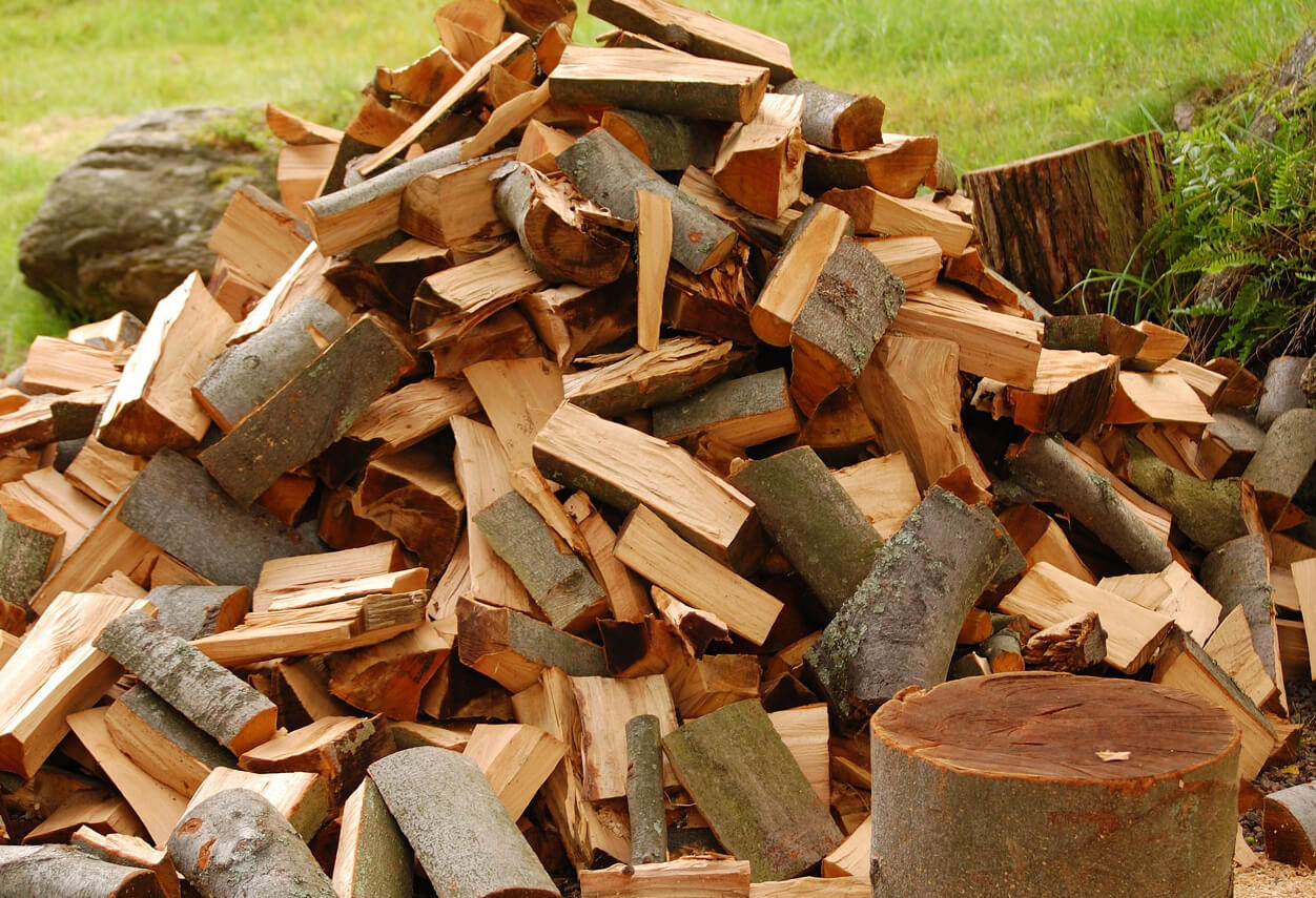 تفسير رؤية الحطب في المنام