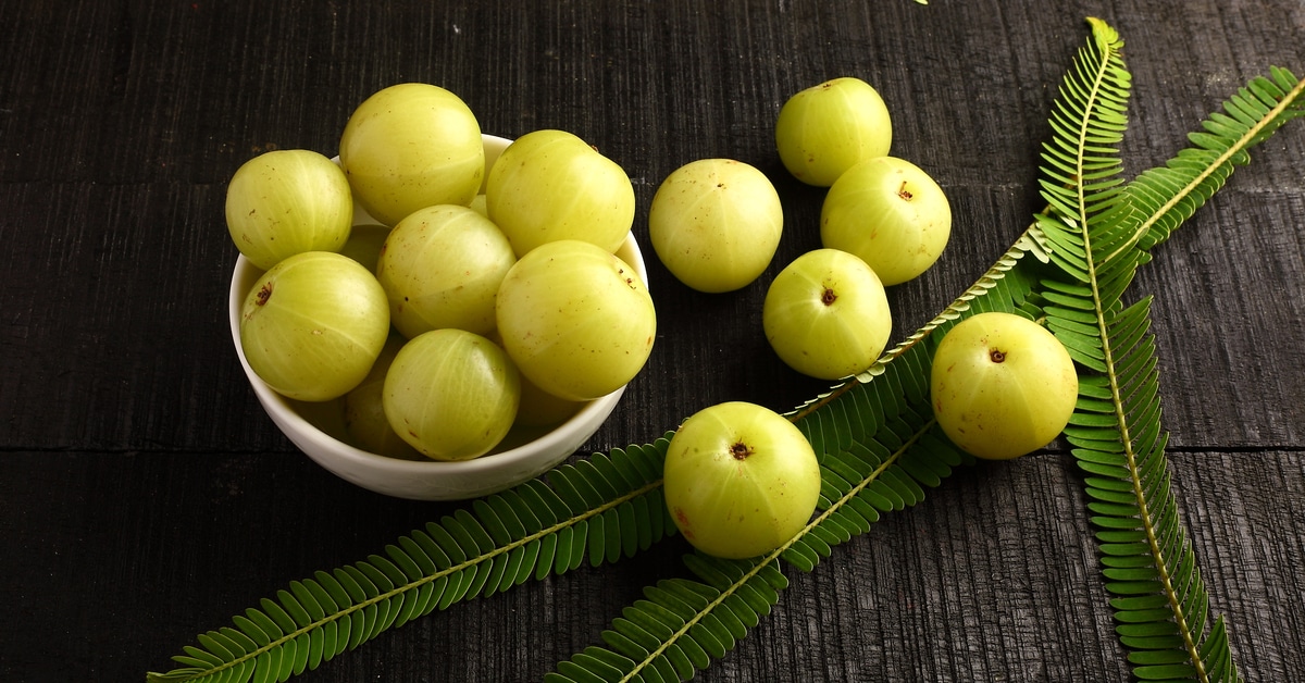 فوائد البمبر للرجال