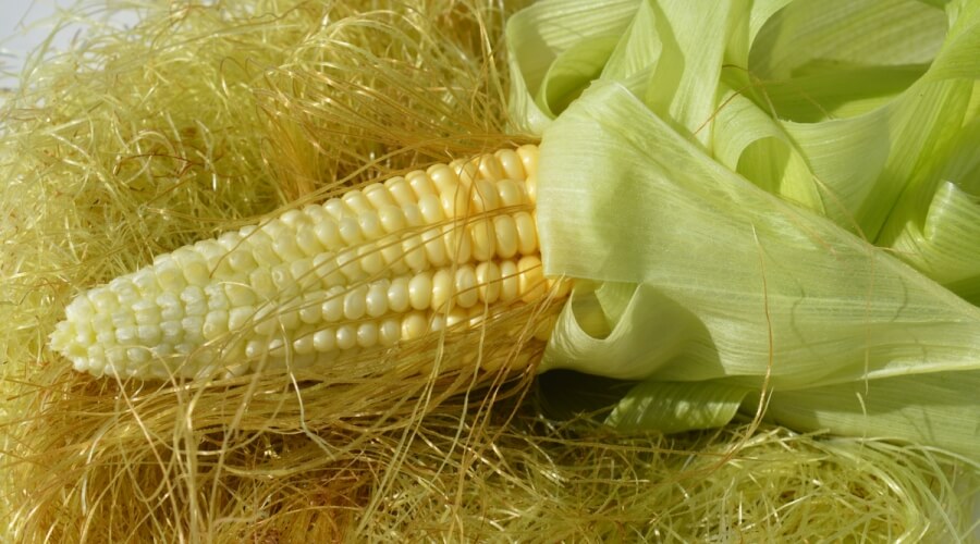 فوائد شعر الذرة للوجه