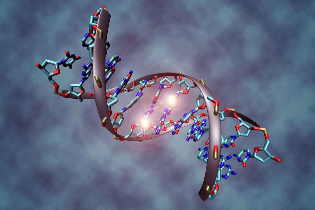 أفضل تخصص في قسم الأحياء ومستقبله في سوق العمل