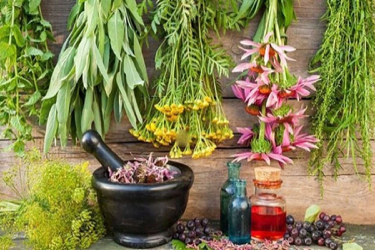 تجربتي مع علاج الفطريات بالاعشاب نهائيا وكيفيه الوقايه منها