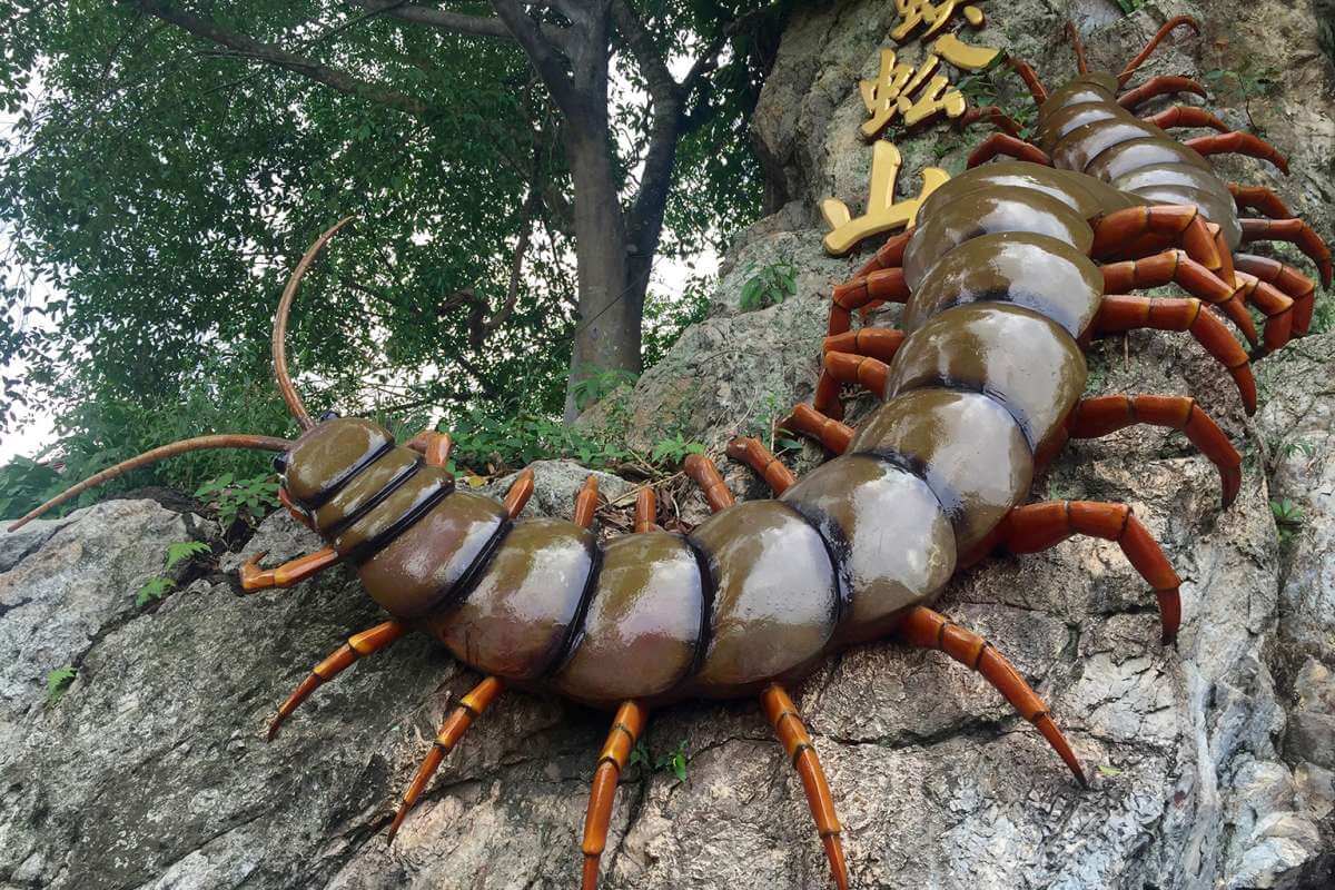 تفسير رؤية ام اربعه واربعين في المنام ومعناه في الخير والشر