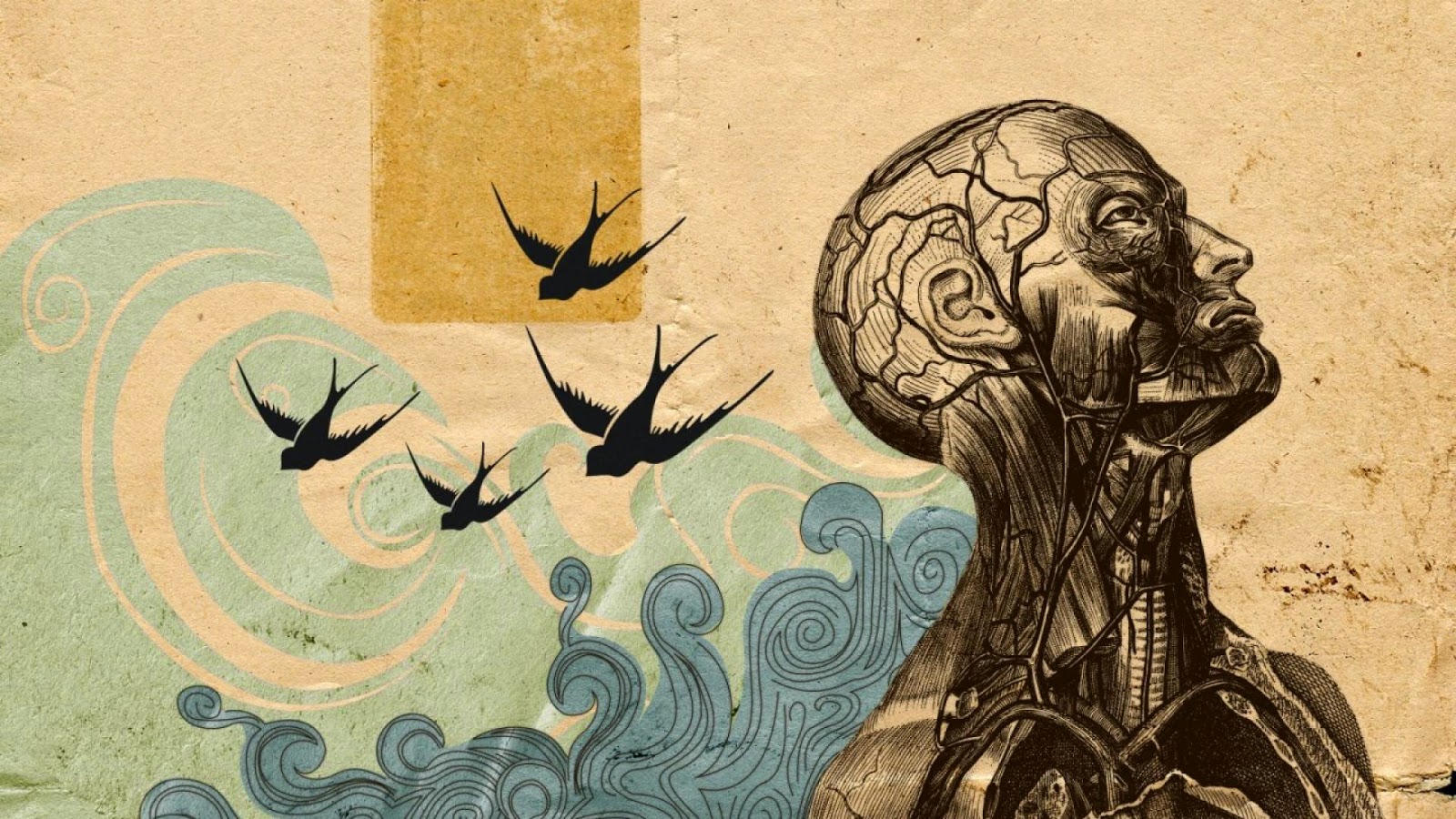 ماهو الخطاب الفلسفي وأهم مميزاته وخصائصه