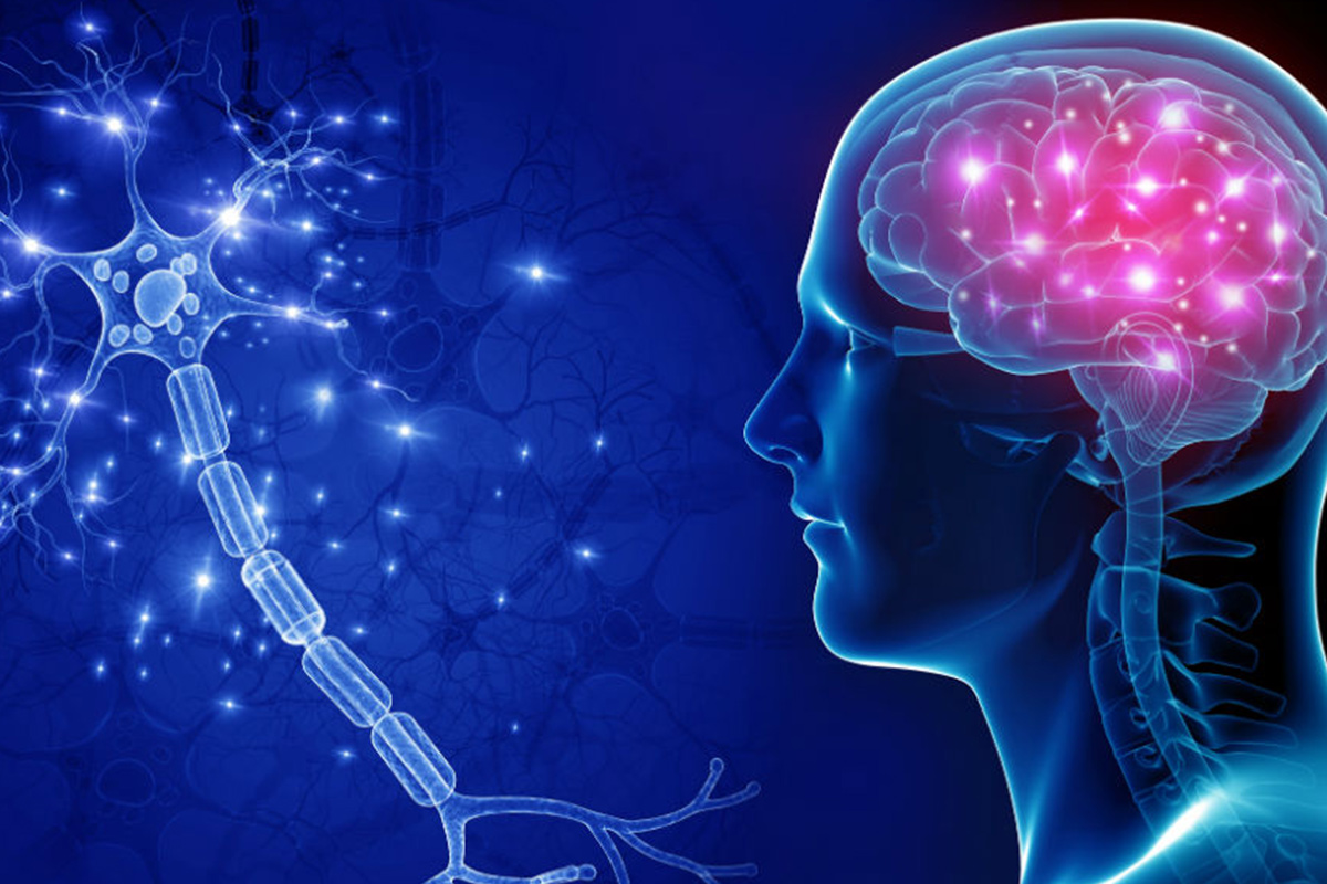 ما هي مضاعفات الحمى الشوكية عند الكبار وطرق الوقاية من المرض