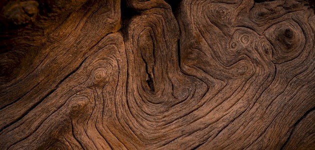 أنواع الخشب بالصور والاسماء - موسوعة