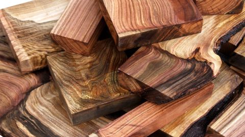 أنواع الخشب بالصور والاسماء