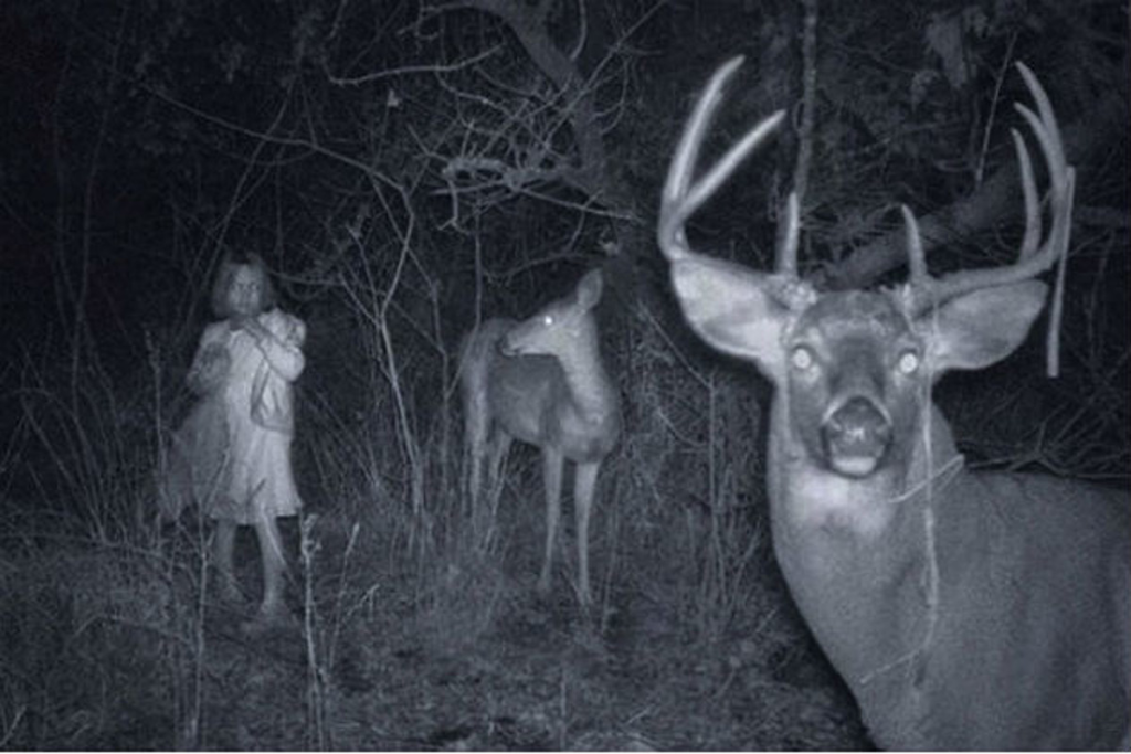 اسماء مرعبه