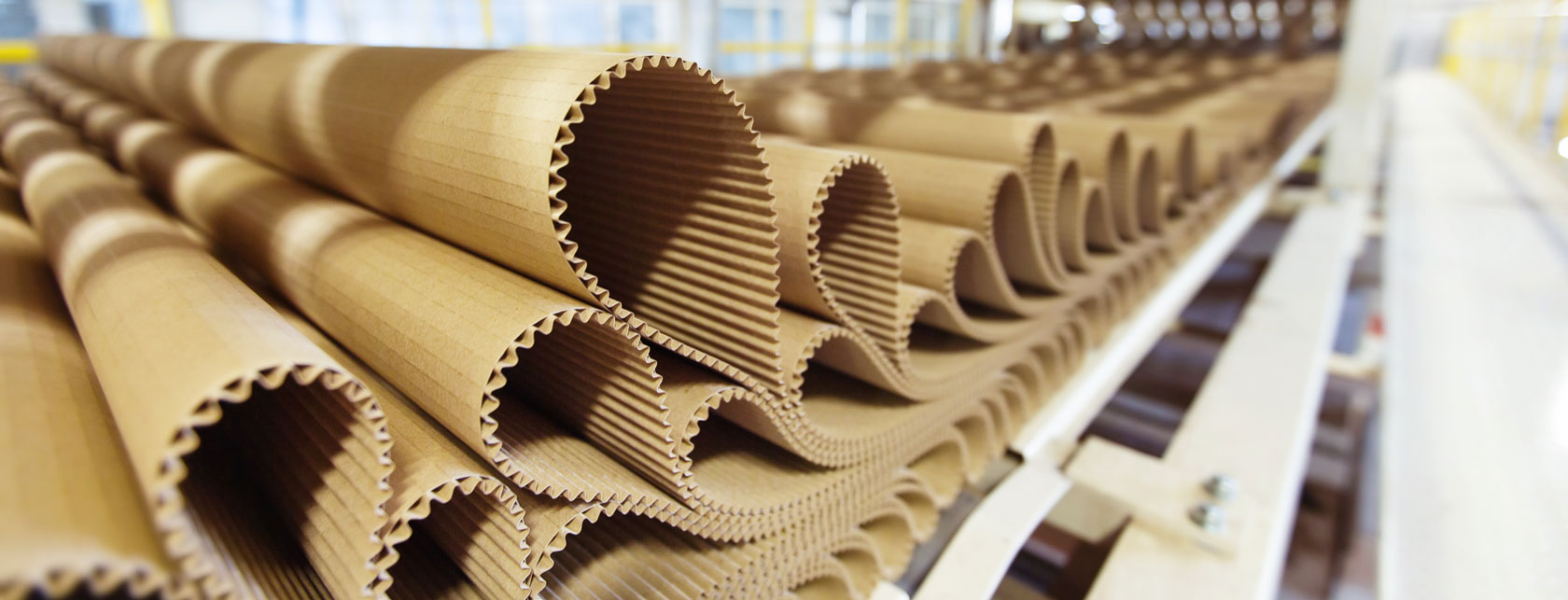 ما المصدر الرئيسي لصناعة الكرتون والورق