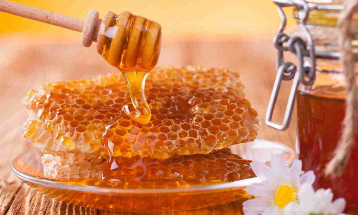 اضرار عسل الابيميديوم التركي للنساء